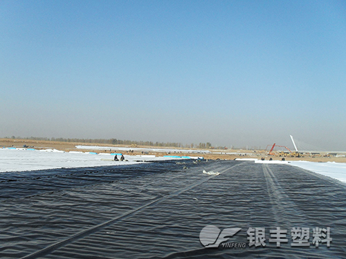 摩登6建筑膜