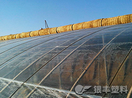 流滴三防膜产品图片