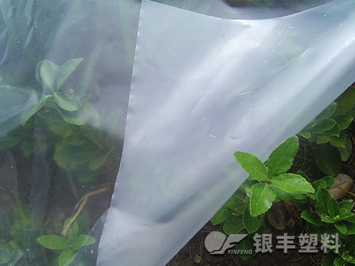 摩登6流滴双防膜产品图片