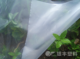 摩登6流滴双防膜产品图片